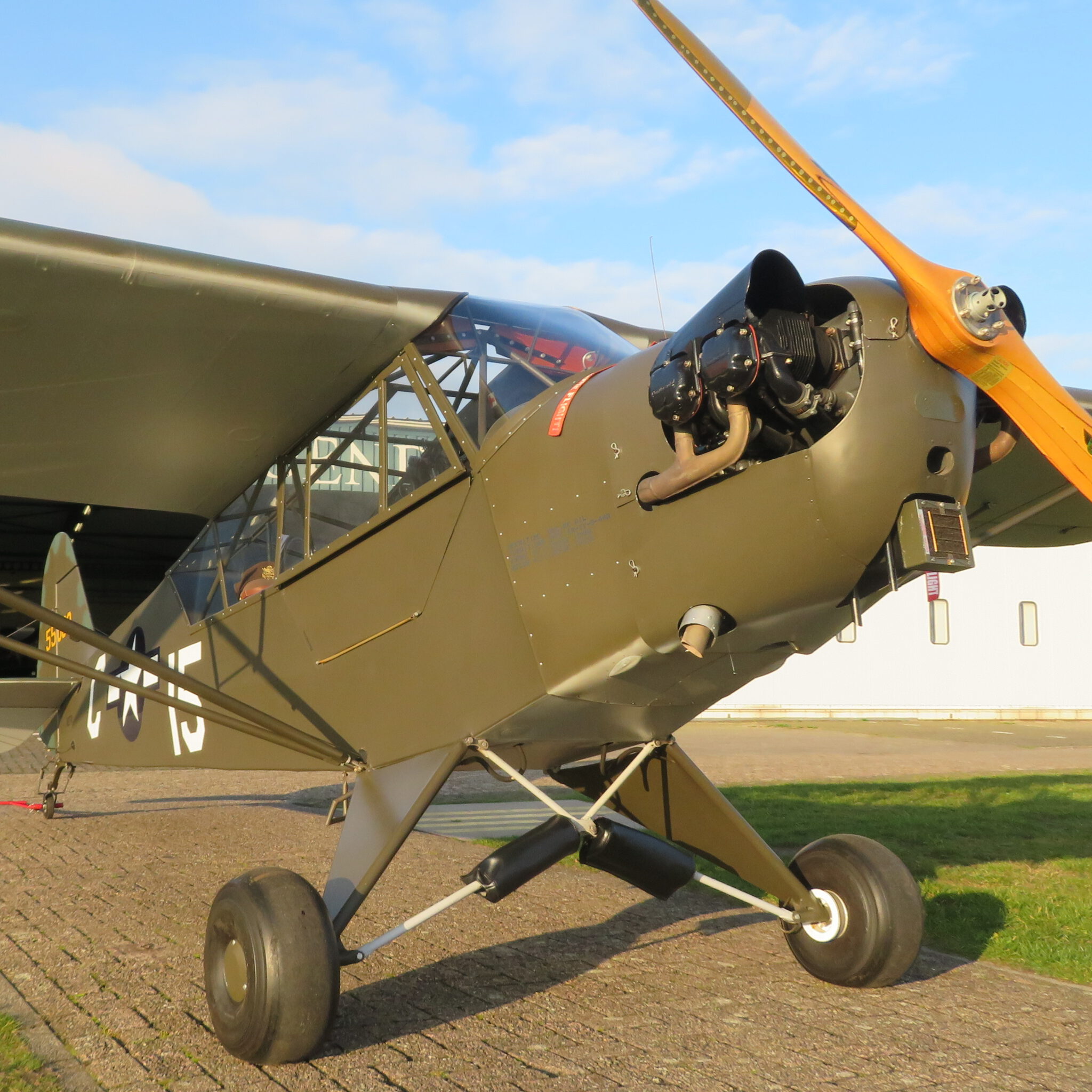 Piper Cub Rangerub Rankings Dallas - oflvf9y